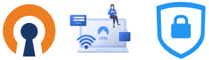 Asesorías y soporte en servicio de VPN